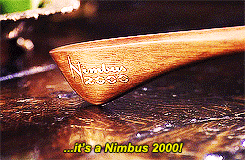 "…it's a Nimbus 2000!" - Ron Weasley (GIF extrait du film Harry Potter 1)